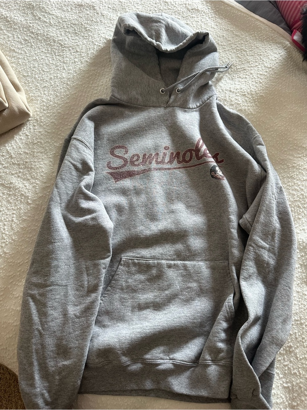 Champion Gray Florida State Universiry Seminoles Hoodie